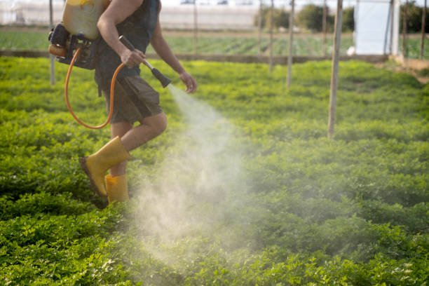 Pest Control Cost in Wye, MT