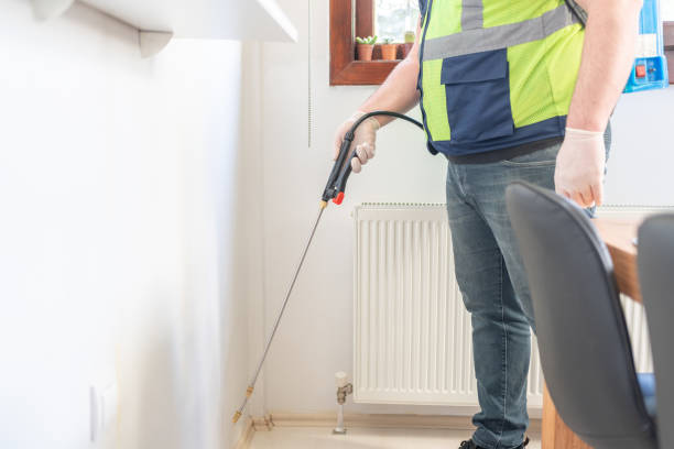 Best Ant Control Services  in Wye, MT