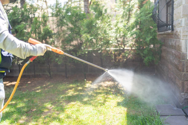 Trusted Wye, MT Pest Control Experts