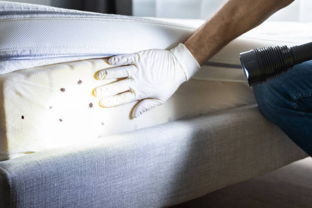 Best Commercial Pest Control Services  in Wye, MT