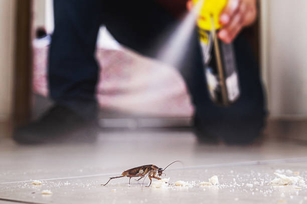 Best Commercial Pest Control Services  in Wye, MT
