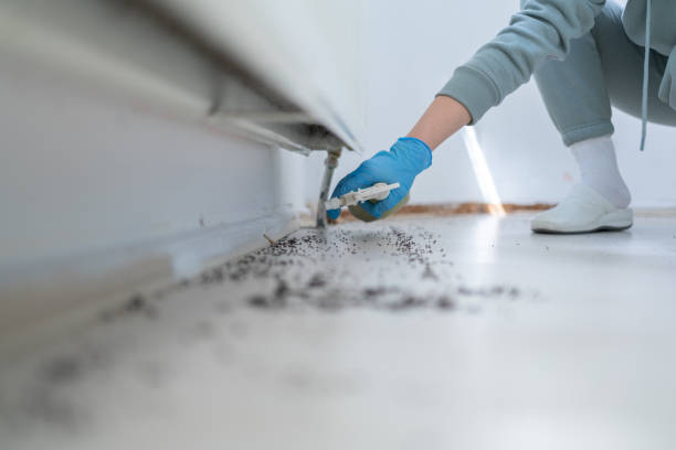 Best Best Pest Control Companies  in Wye, MT